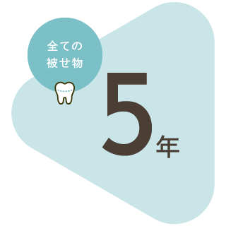 全ての被せ物：5年