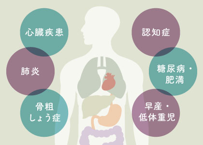 心臓疾患/肺炎/骨粗しょう症/認知症/糖尿病・肥満/早産・低体重児